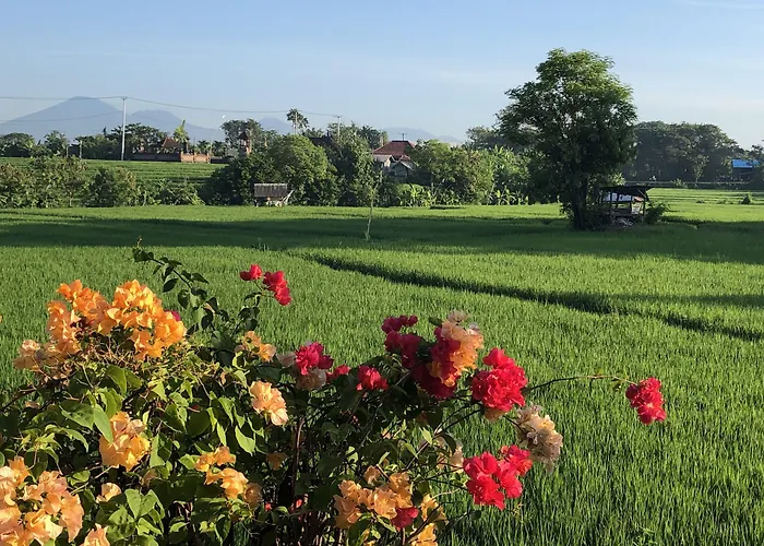 Derose 3* Canggu
